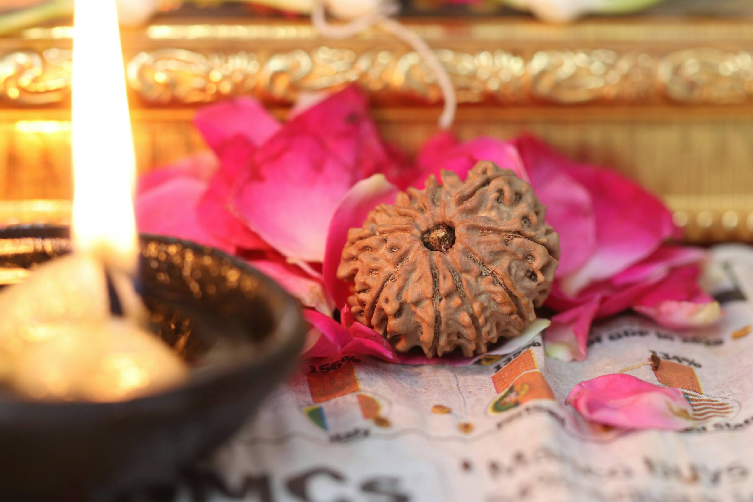 Transformative power of Rudraksha